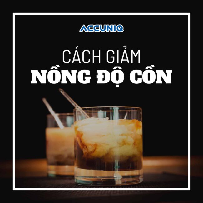 Một số thực phẩm có thể giúp giảm nồng độ cồn trong cơ thể