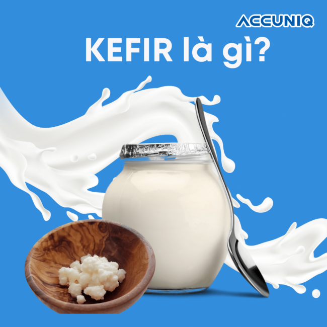 Kefir là gì? Kefir có quan trọng cho sức khỏe hay không?