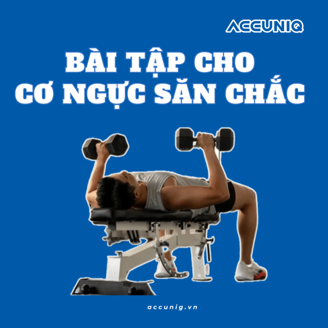 nhung-bai-tap-cho-co-nguc-san-chac (1)